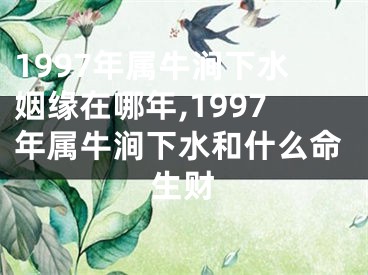 1997年属牛涧下水姻缘在哪年,1997年属牛涧下水和什么命生财