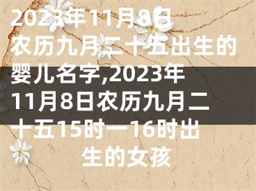 2023年11月8日农历九月二十五出生的婴儿名字,2023年11月8日农历九月二十五15时一16时出生的女孩