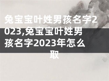 兔宝宝叶姓男孩名字2023,兔宝宝叶姓男孩名字2023年怎么取