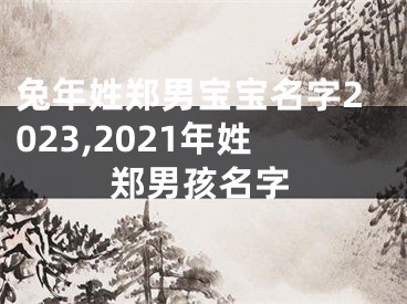 兔年姓郑男宝宝名字2023,2021年姓郑男孩名字