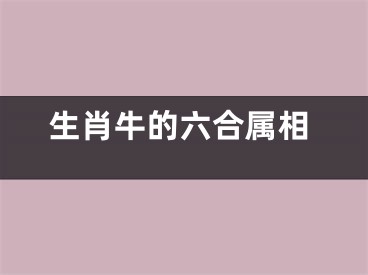 生肖牛的六合属相