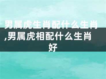 男属虎生肖配什么生肖,男属虎相配什么生肖好