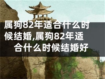 属狗82年适合什么时候结婚,属狗82年适合什么时候结婚好