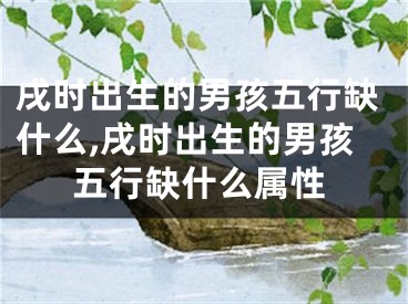 戌时出生的男孩五行缺什么,戌时出生的男孩五行缺什么属性