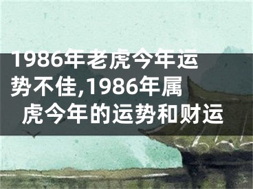 1986年老虎今年运势不佳,1986年属虎今年的运势和财运