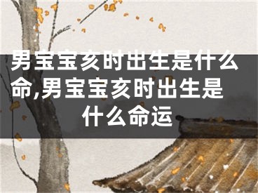 男宝宝亥时出生是什么命,男宝宝亥时出生是什么命运