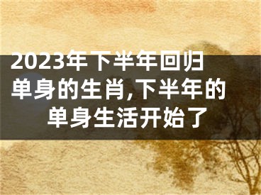 2023年下半年回归单身的生肖,下半年的单身生活开始了