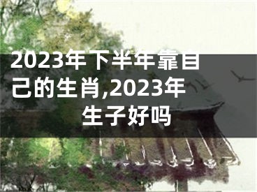 2023年下半年靠自己的生肖,2023年生子好吗