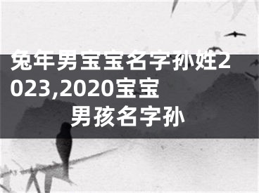 兔年男宝宝名字孙姓2023,2020宝宝男孩名字孙