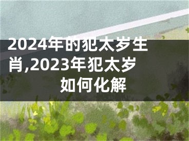 2024年的犯太岁生肖,2023年犯太岁如何化解