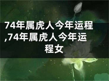 74年属虎人今年运程,74年属虎人今年运程女