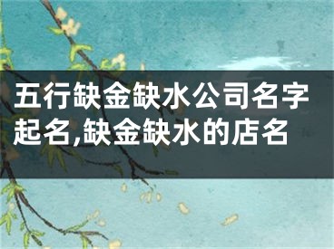 五行缺金缺水公司名字起名,缺金缺水的店名