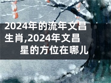 2024年的流年文昌生肖,2024年文昌星的方位在哪儿