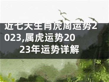 近七天生肖虎周运势2023,属虎运势2023年运势详解