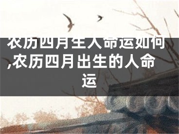 农历四月生人命运如何,农历四月出生的人命运