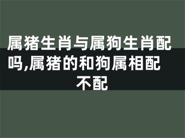 属猪生肖与属狗生肖配吗,属猪的和狗属相配不配