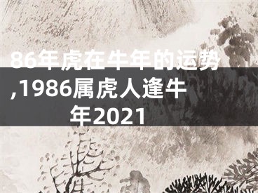 86年虎在牛年的运势,1986属虎人逢牛年2021