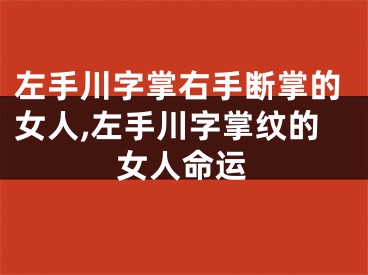 左手川字掌右手断掌的女人,左手川字掌纹的女人命运