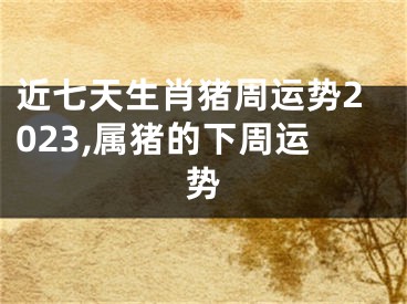 近七天生肖猪周运势2023,属猪的下周运势