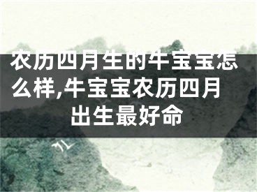 农历四月生的牛宝宝怎么样,牛宝宝农历四月出生最好命