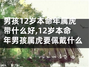 男孩12岁本命年属虎带什么好,12岁本命年男孩属虎要佩戴什么