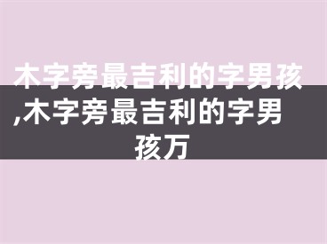 木字旁最吉利的字男孩,木字旁最吉利的字男孩万