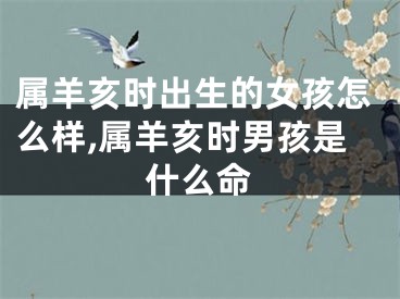 属羊亥时出生的女孩怎么样,属羊亥时男孩是什么命