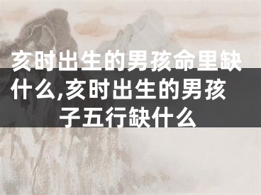 亥时出生的男孩命里缺什么,亥时出生的男孩子五行缺什么