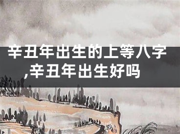 辛丑年出生的上等八字,辛丑年出生好吗