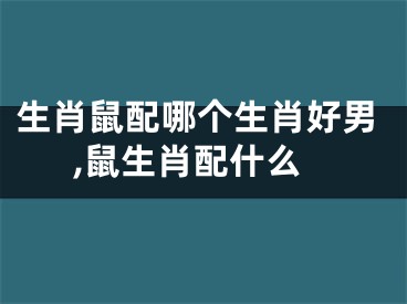 生肖鼠配哪个生肖好男,鼠生肖配什么