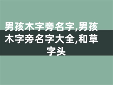 男孩木字旁名字,男孩木字旁名字大全,和草字头