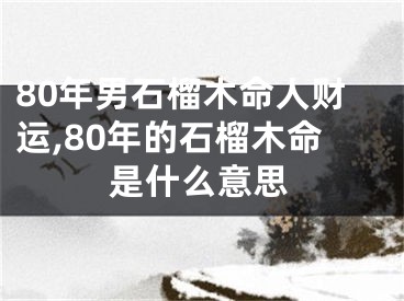 80年男石榴木命人财运,80年的石榴木命是什么意思