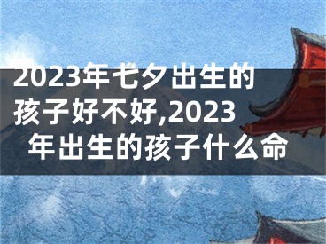 2023年七夕出生的孩子好不好,2023年出生的孩子什么命