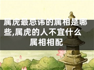 属虎最忌讳的属相是哪些,属虎的人不宜什么属相相配