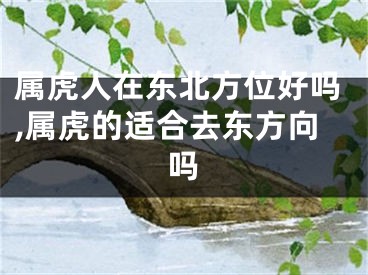 属虎人在东北方位好吗,属虎的适合去东方向吗