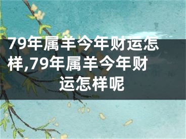 79年属羊今年财运怎样,79年属羊今年财运怎样呢