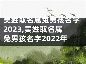 吴姓取名属兔男孩名字2023,吴姓取名属兔男孩名字2022年