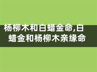 杨柳木和白蜡金命,白蜡金和杨柳木亲缘命