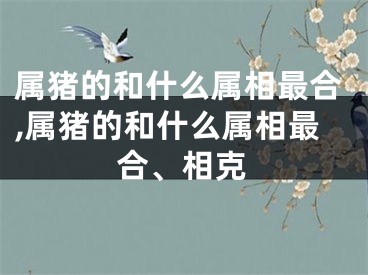 属猪的和什么属相最合,属猪的和什么属相最合、相克