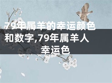 79年属羊的幸运颜色和数字,79年属羊人幸运色