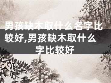 男孩缺木取什么名字比较好,男孩缺木取什么字比较好