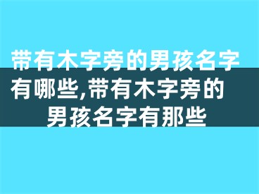 带有木字旁的男孩名字有哪些,带有木字旁的男孩名字有那些