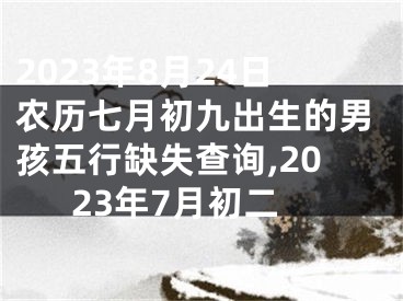 2023年8月24日农历七月初九出生的男孩五行缺失查询,2023年7月初二