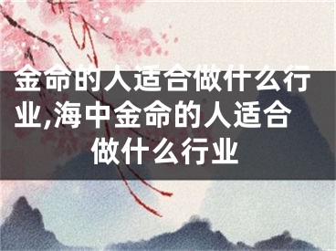 金命的人适合做什么行业,海中金命的人适合做什么行业