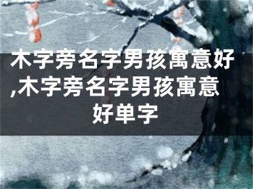 木字旁名字男孩寓意好,木字旁名字男孩寓意好单字