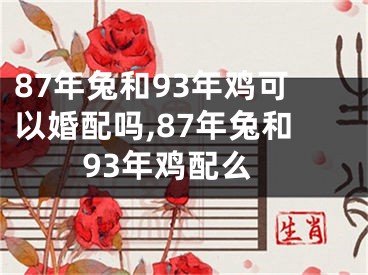 87年兔和93年鸡可以婚配吗,87年兔和93年鸡配么