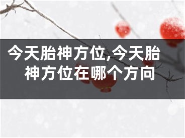 今天胎神方位,今天胎神方位在哪个方向