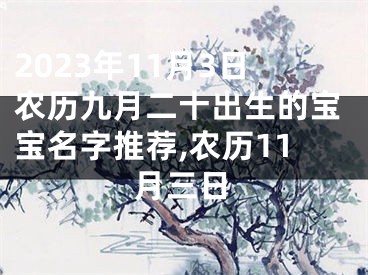 2023年11月3日农历九月二十出生的宝宝名字推荐,农历11月三日