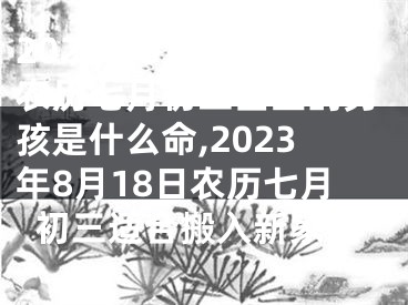 2023年8月18日农历七月初三出生的男孩是什么命,2023年8月18日农历七月初三适合搬入新家吗