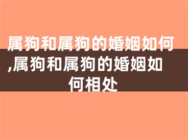 属狗和属狗的婚姻如何,属狗和属狗的婚姻如何相处